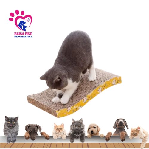 Bàn Cào Móng Cho Mèo