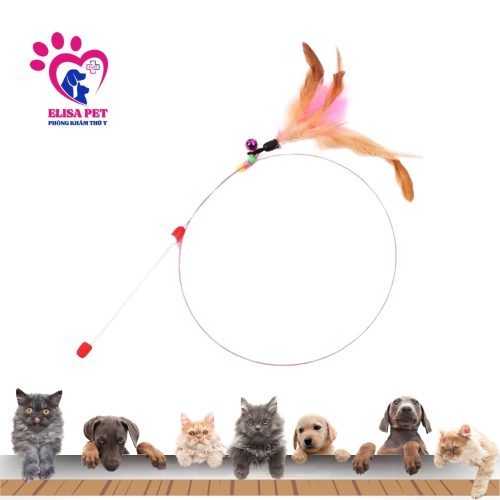 Cần Câu Chó Mèo