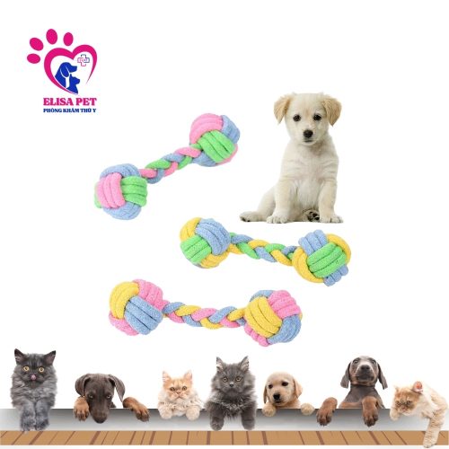 Đồ Chơi Dây Thừng Cho Chó