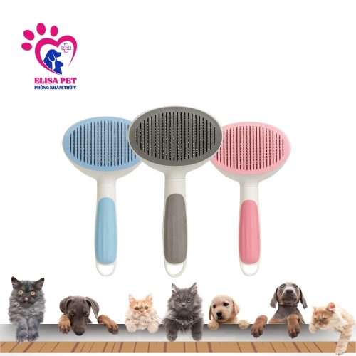 Lược Chải Lông Cho Mèo