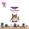 Sữa Mèo Precaten