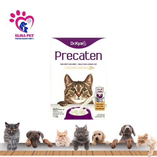 Sữa Mèo Precaten