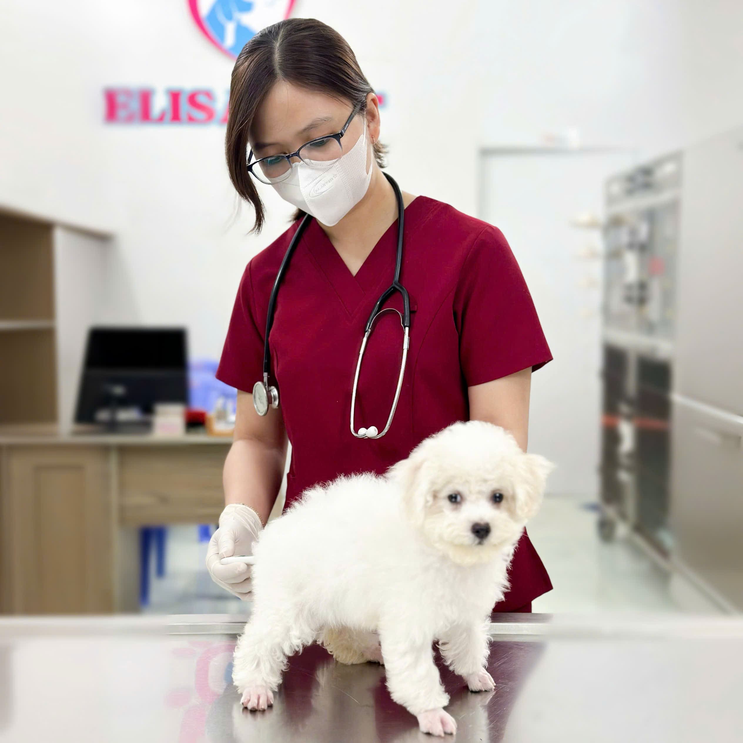 Dịch Vụ Tiêm Phòng