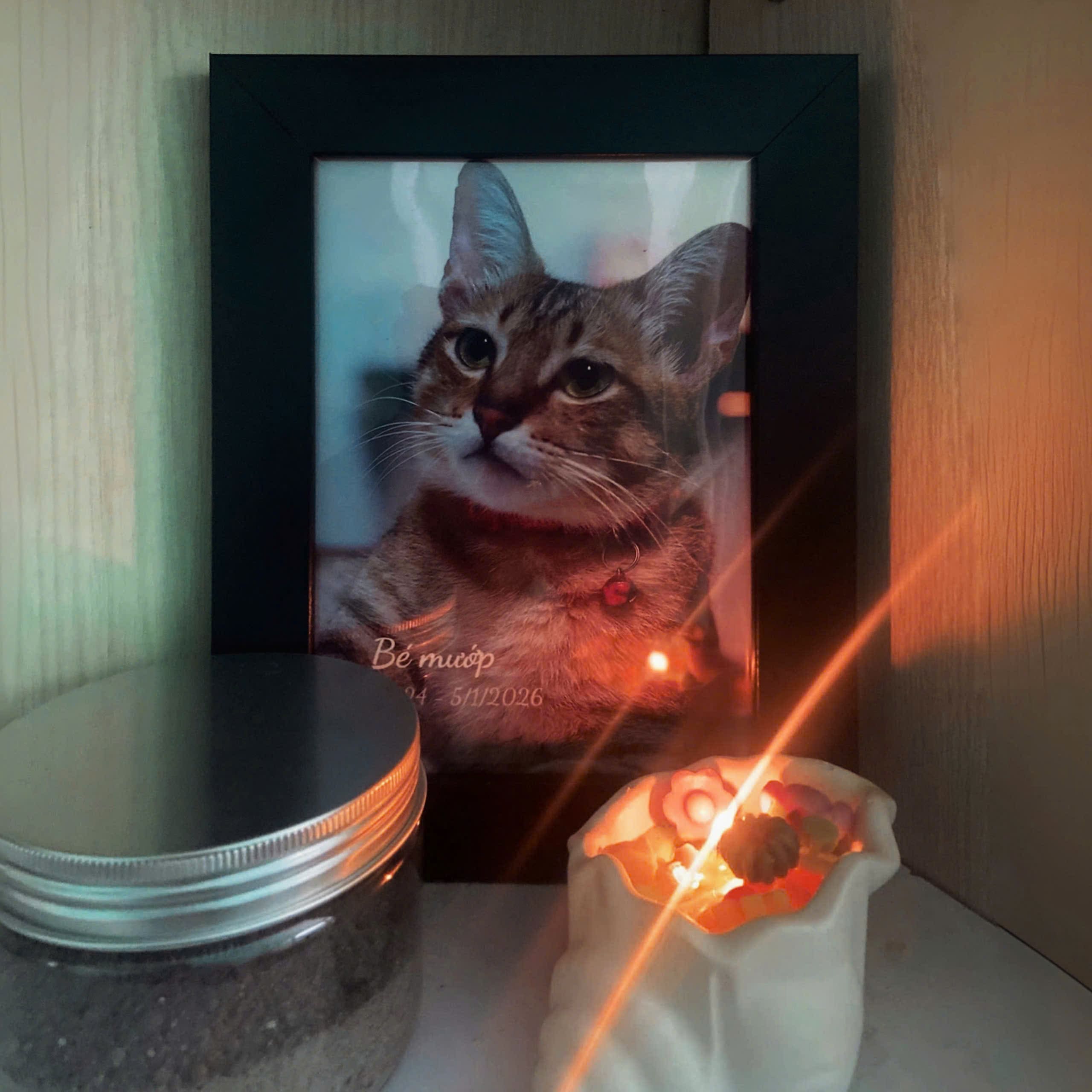 Hỏa Táng Thú Cưng