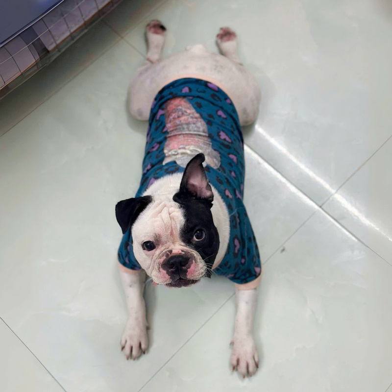 Khám Bệnh Tại Nhà