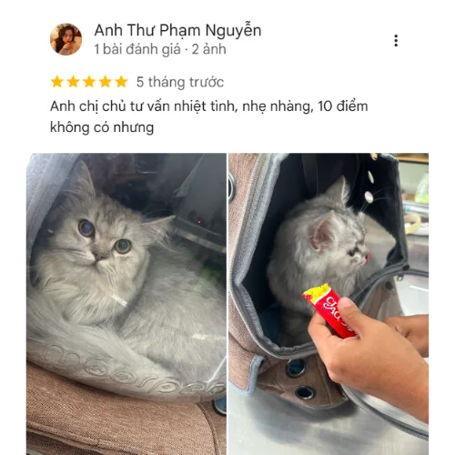 Review của KH Anh Thư Phạm Nguyễn ELISA PET