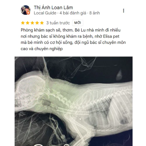 Review của KH Thị Ánh Loan Lâm ELISA PET