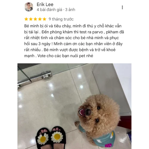 Review của KH ERIK LEE tại ELISA PET