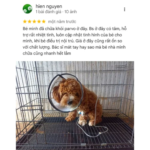 Review Hiền Nguyễn ELISA PET