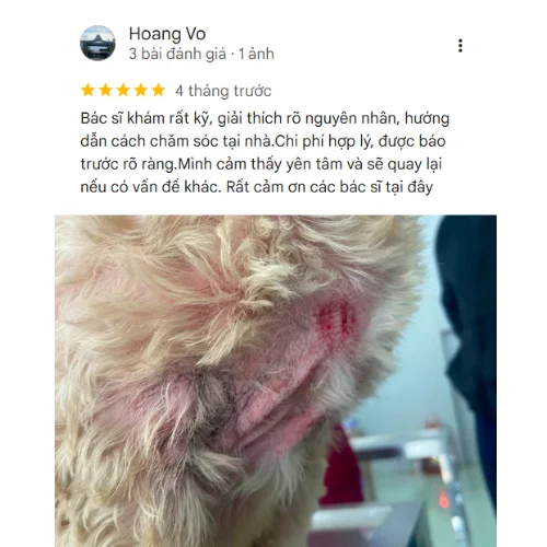 Review Hoang Vo tại ELISA PET