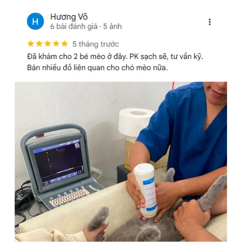 Review của KH Hương Võ