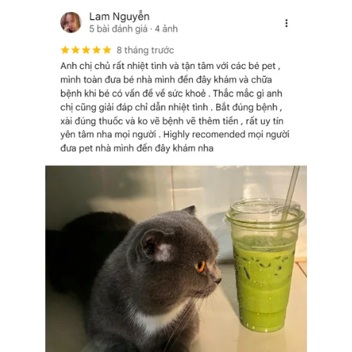 Review Lam Nguyễn tại phòng khám thú y ELISA PET