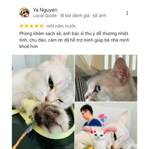 Review của KH Ya Nguyen tại ELISA PET