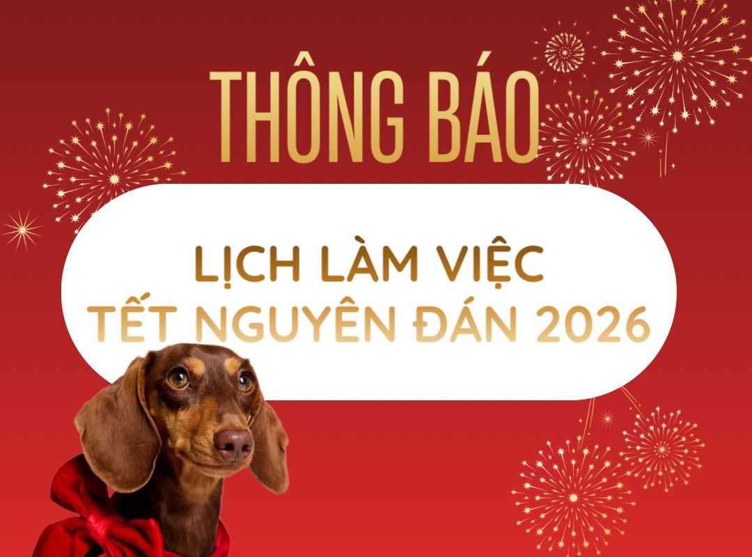Lịch làm việc tết 2026