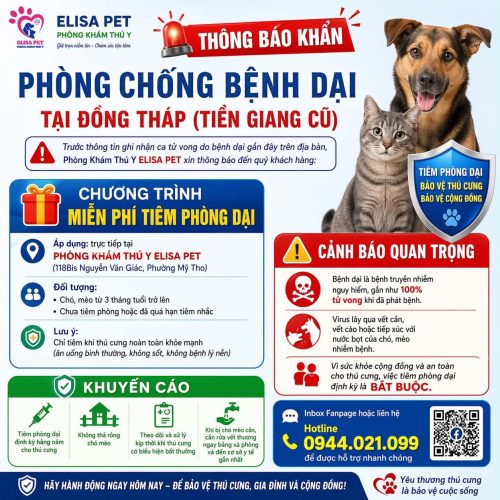 Tiêm ngừa dại miễn phí cho chó mèo tại ELISA PET