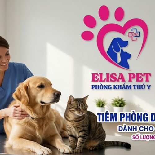 Tiêm ngừa dại miễn phí tại ELISA PET