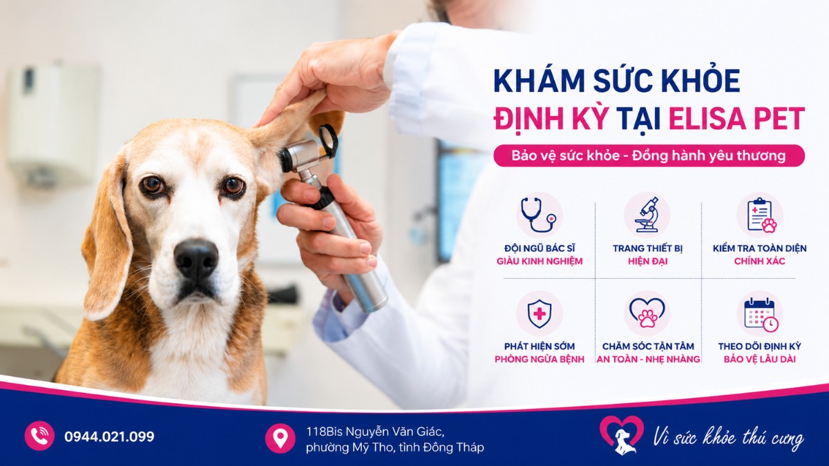 Bác sĩ thường khuyến nghị khám định kỳ 6 tháng/lần
