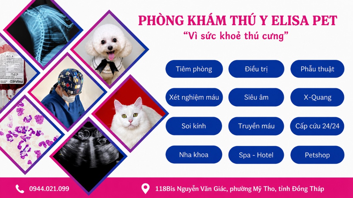 ELISA PET là một trong những phòng khám đáng tin cậy tại Mỹ Tho