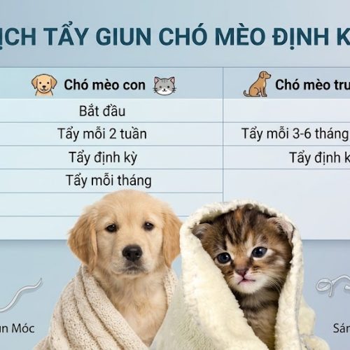 Lịch tẩy giun cho chó mèo