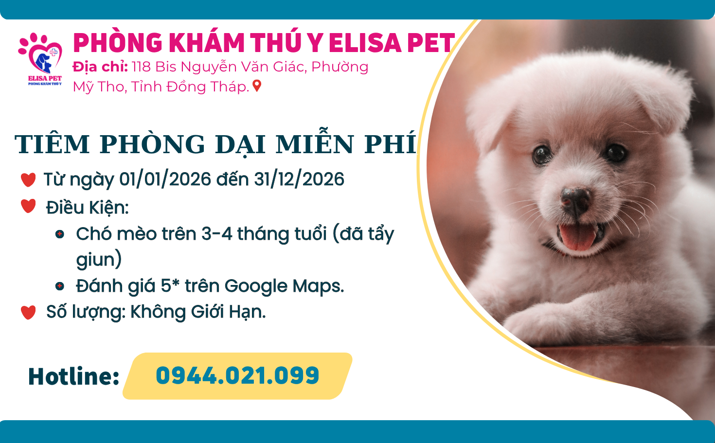Tiêm phòng dại miễn phí cho chó mèo